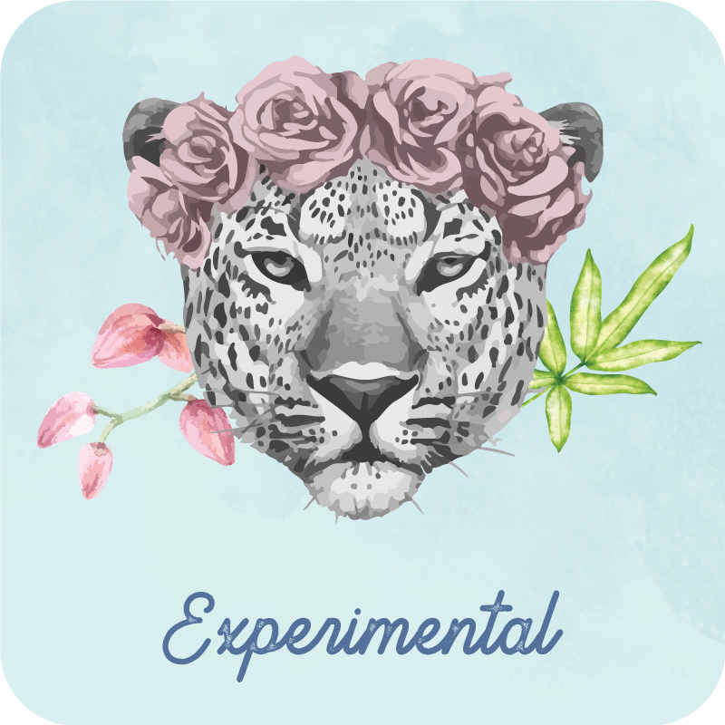 experimental Beauty Products for Girl