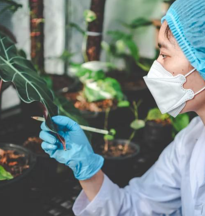 BRIGHTENS SKIN SAFELY