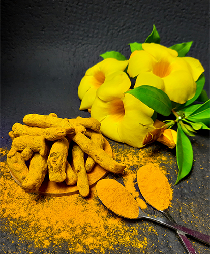 Turmeric Extract