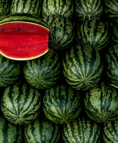 Watermelon Fruit Extract